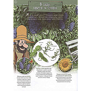 Petson and Findus in Nature