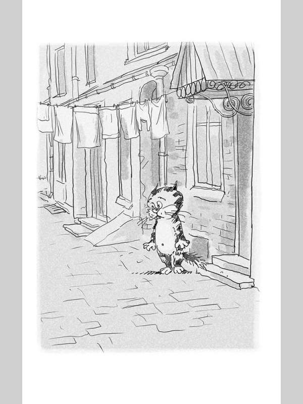 The Cutlet Investigation of Cat Strauss