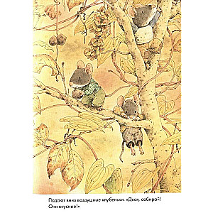 14 Forest Mice. Sweet Potato