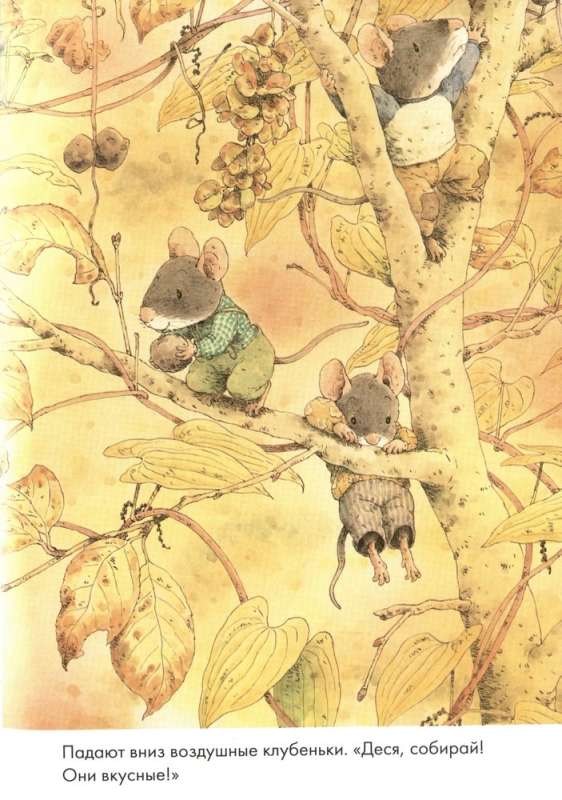14 Forest Mice. Sweet Potato