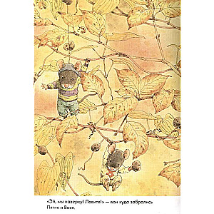 14 Forest Mice. Sweet Potato