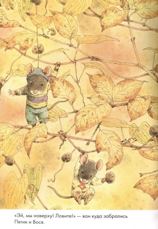 14 Forest Mice. Sweet Potato