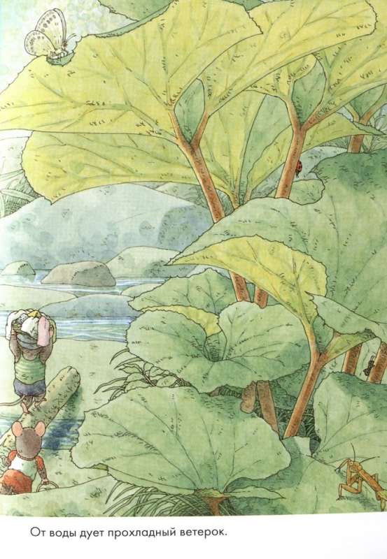 14 Forest Mice. Washing