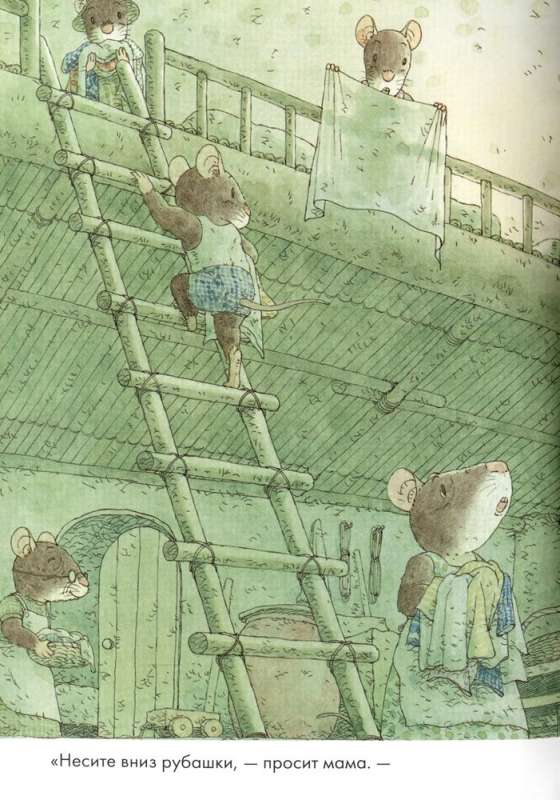 14 Forest Mice. Washing