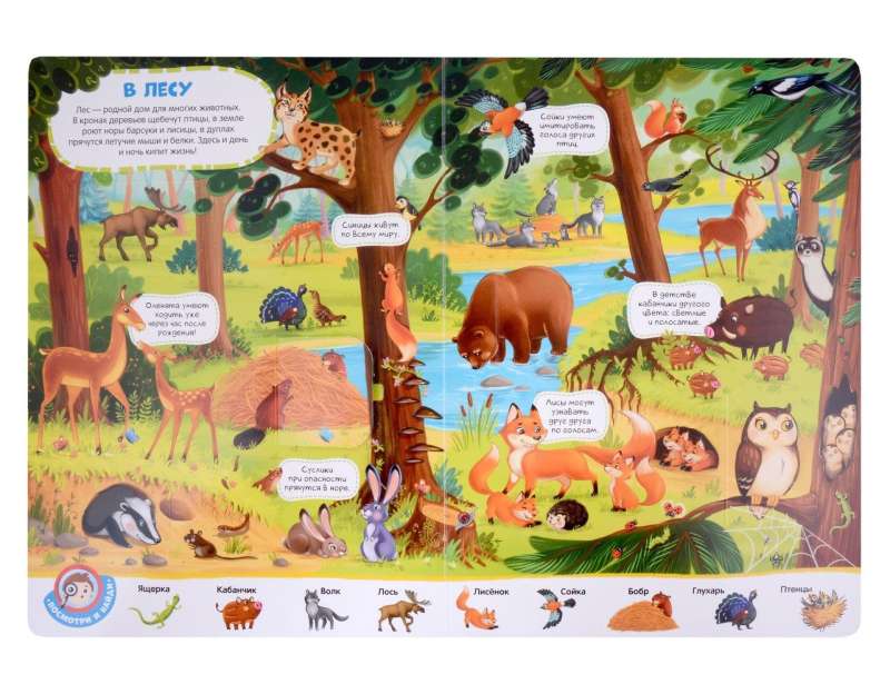 Wimmelbuch with Windows. Animals