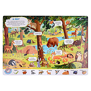 Wimmelbuch with Windows. Animals
