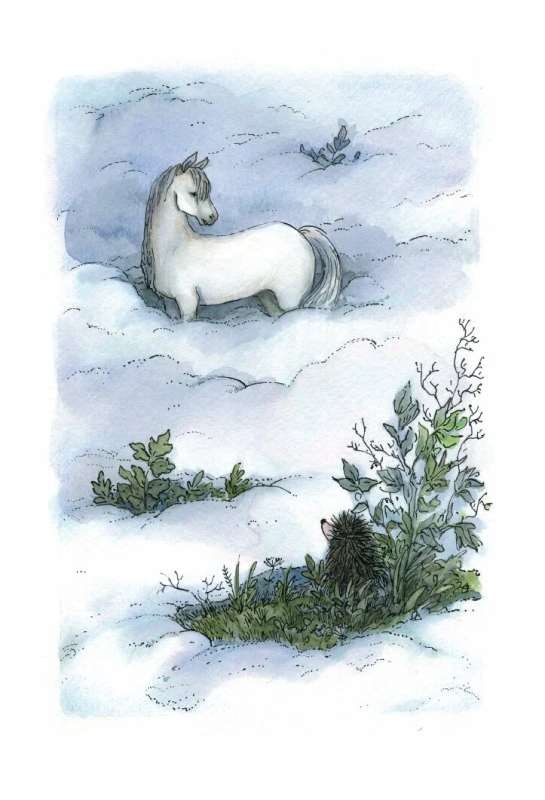The Hedgehog in the Fog
