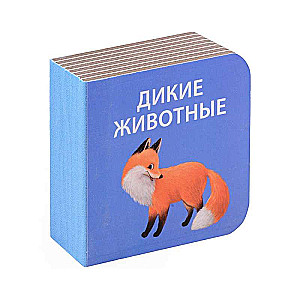 Cube Book Set I Discover the World. 6 Cube Books