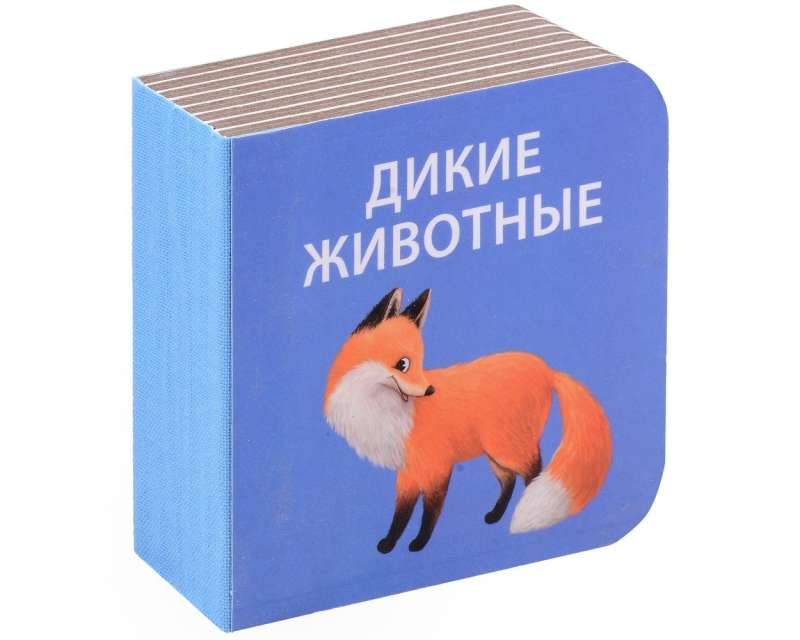 Cube Book Set I Discover the World. 6 Cube Books