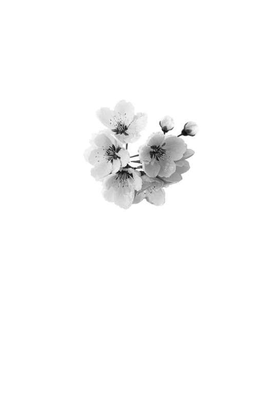 Blackberry Winter