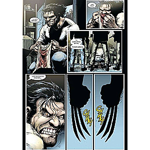 "Wolverine" by Greg Rucka. Complete Edition