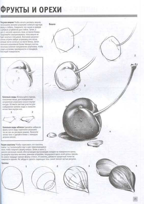 Drawing Portraits, Still Lifes, Landscapes with Pencil