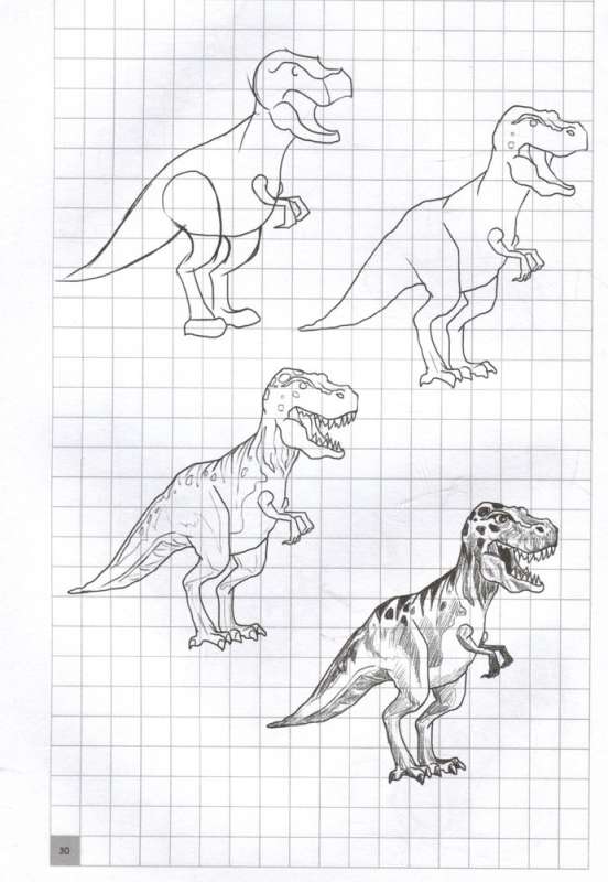 Creative Drawing Course. Animals from A to Z