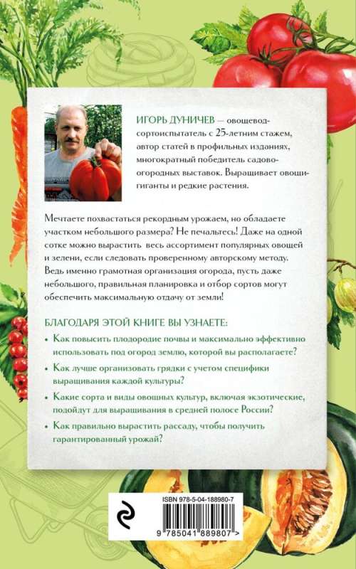 Garden on One Hundred Square Meters. How to Effectively Use a Small Plot for Maximum Yield