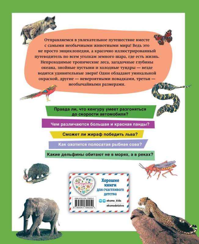 The Most Unusual Animals in the World