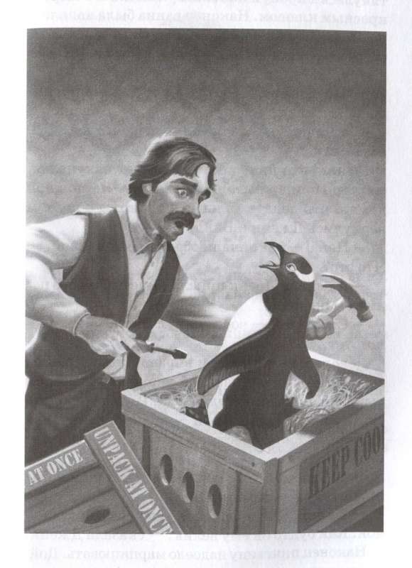 Mr. Popper's Penguins
