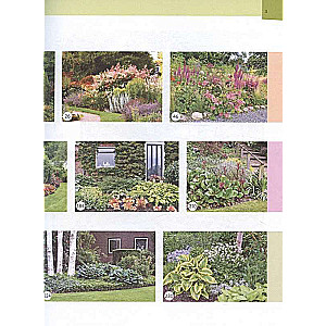 Flower Beds in Your Garden. Simple Compositions for Sun and Shade