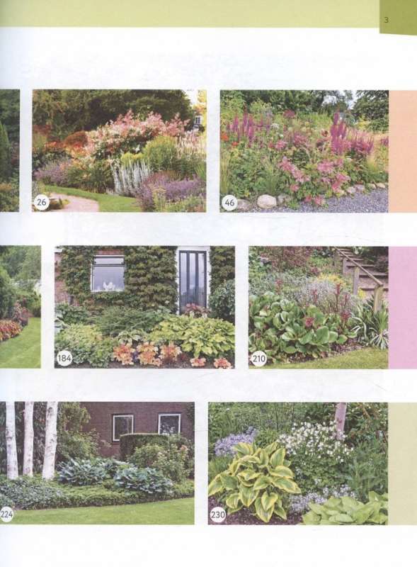 Flower Beds in Your Garden. Simple Compositions for Sun and Shade