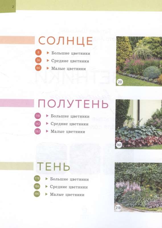 Flower Beds in Your Garden. Simple Compositions for Sun and Shade