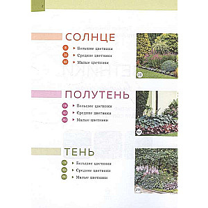 Flower Beds in Your Garden. Simple Compositions for Sun and Shade