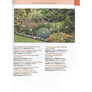 Flower Beds in Your Garden. Simple Compositions for Sun and Shade