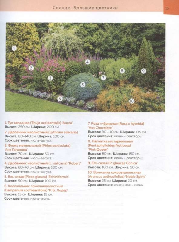 Flower Beds in Your Garden. Simple Compositions for Sun and Shade