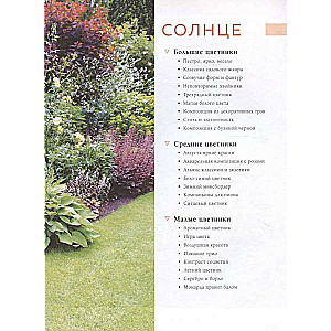 Flower Beds in Your Garden. Simple Compositions for Sun and Shade