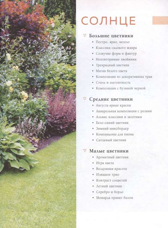 Flower Beds in Your Garden. Simple Compositions for Sun and Shade