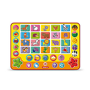 Funny Zoo Quiz
