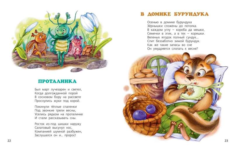 Little Tales of the Big Forest