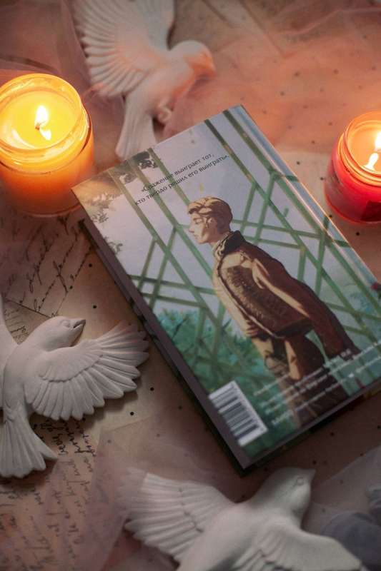 War and Peace. Volume III-IV