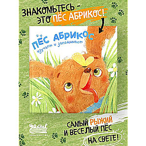 Apricot the Dog Studies and Remembers