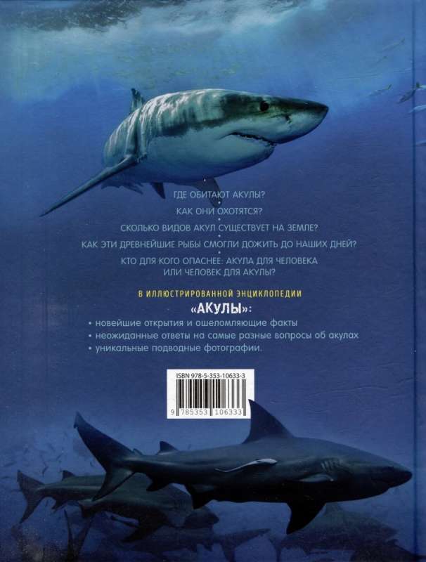 Sharks. Illustrated Encyclopedia