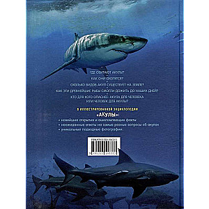Sharks. Illustrated Encyclopedia