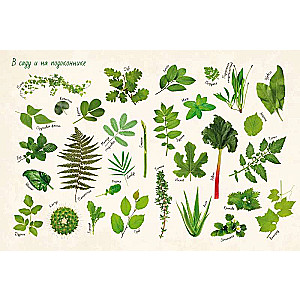 Incredible Plants. Volume 1