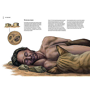 How the Cat Tamed Man: The History of Cats and Humans