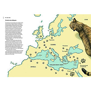 How the Cat Tamed Man: The History of Cats and Humans