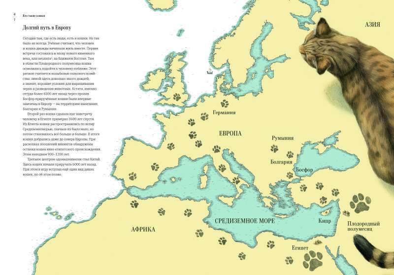 How the Cat Tamed Man: The History of Cats and Humans