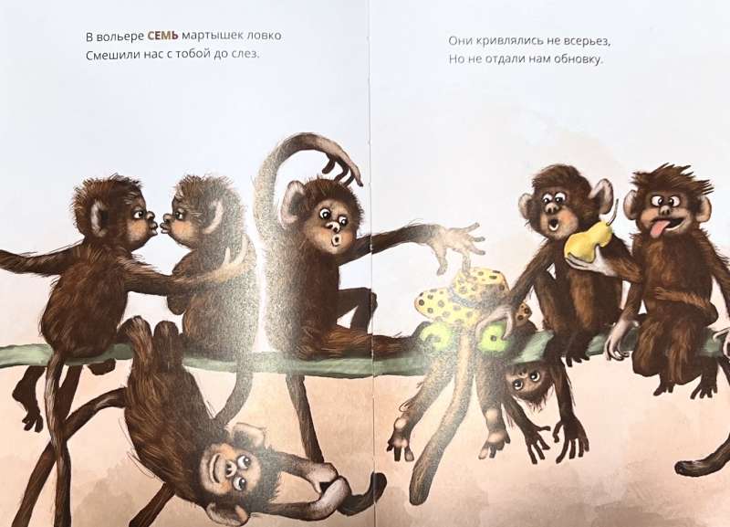 Zoo. Counting to 10