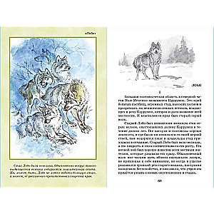 Mustang the Trotter and Other Stories by Seton-Thompson
