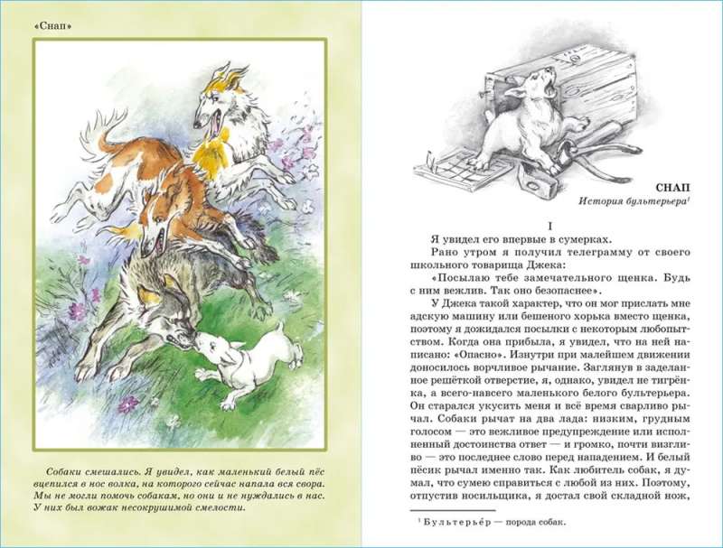 Mustang the Trotter and Other Stories by Seton-Thompson