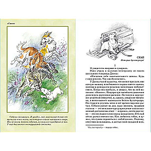 Mustang the Trotter and Other Stories by Seton-Thompson