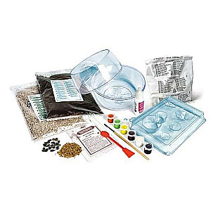 Creative set Clementoni: Harry Potter Terrarium