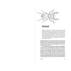 The Sunset and Fall of Tiny Empires: Why the Death of Insects Threatens Life on the Planet