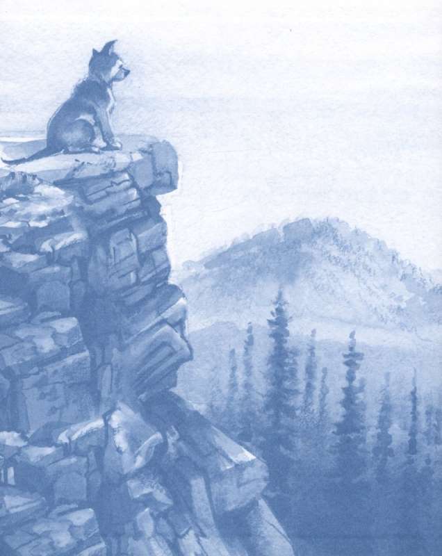 Wanderers of the North
