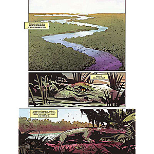 Far Cry. Tears of Esperanza. Comic