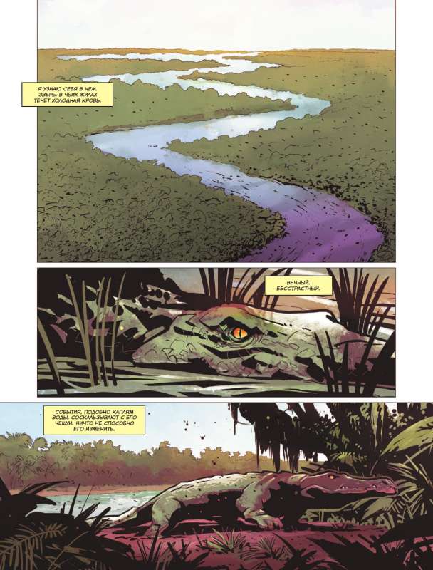 Far Cry. Tears of Esperanza. Comic