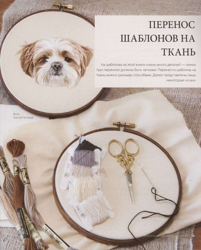 I just want to stroke it! Embroidering a portrait from a photograph