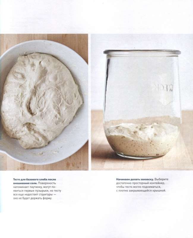 Whole Grain Bread and Baking. Theory, Practice, Recipes