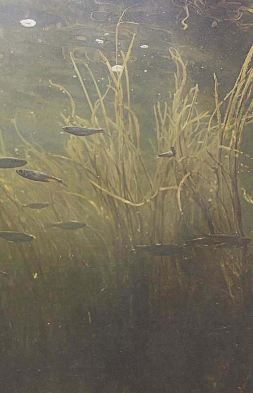 The Big Encyclopedia of Fishing. The Most Complete Guide for Fishermen